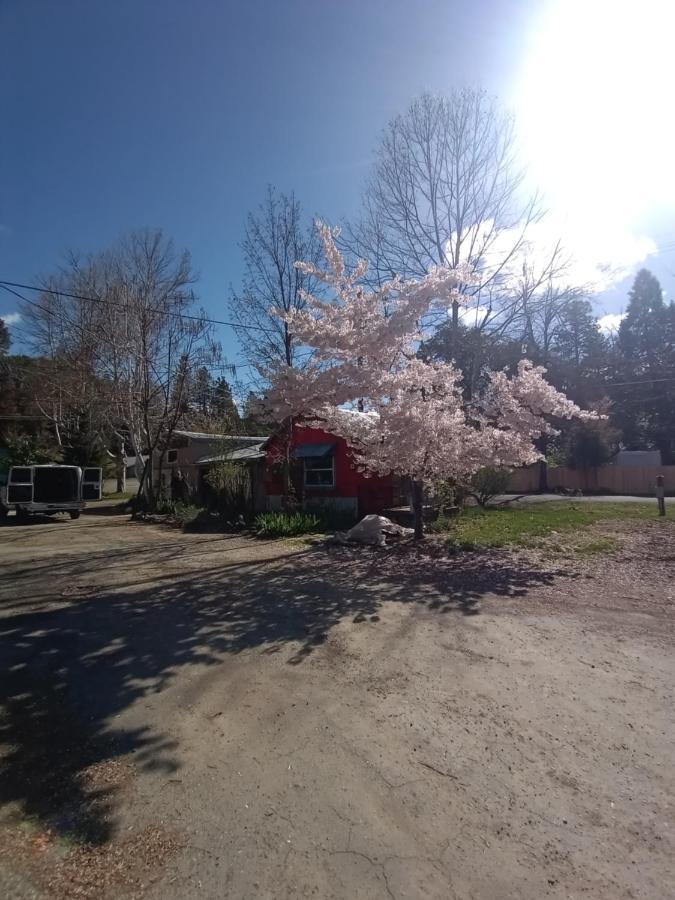 Bigfoot Rv & Cabins Park Happy Camp Exterior photo